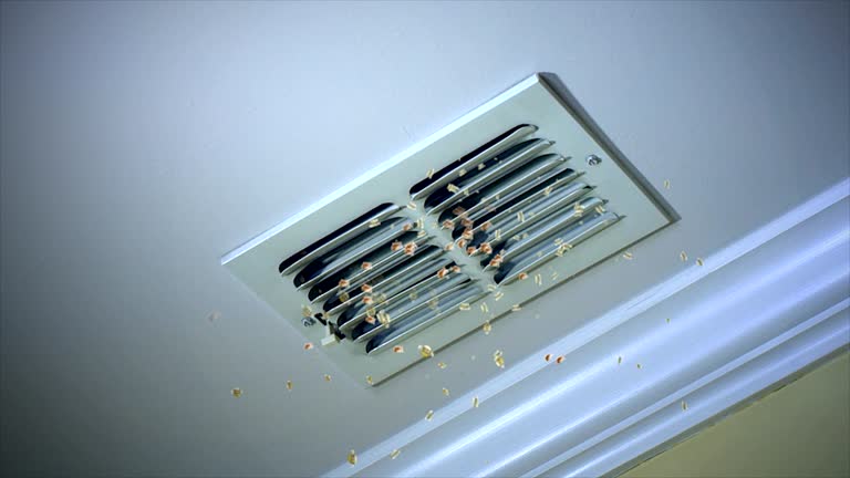 Best Air Vent Cleaning Services  in Clarion, IA